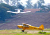 Piper PA-18-150, PT-WCE. (09/11/2013)