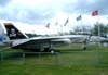 Grumman F-14A Tomcat. (11/06/2008) Foto: Santiago Oliver.