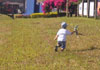 Criança correndo com um Tucano da Esquadrilha da Fumaça, feito de isopor.