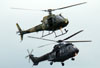 Eurocopter/Helibras AS-350B2 Esquilo (HA-1), EB 1035, e Eurocopter AS-532UE (HM-3 Cougar), EB 4008, do Exército Brasileiro. (13/05/2012)