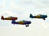 Os North American T-6D do Circo Aéreo. (13/05/2012)