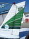 Detalhe do logotipo do Aeroclube de So Paulo na cauda do Tupi, PT-RXC.