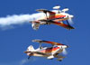 Os Christen Eagle II dos Iron Eagles Aerobatic Team. (27/07/2012) Foto: Celia Passerani.