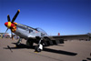 North American P-51D Mustang, prefixo NL551J. (13/04/2024)